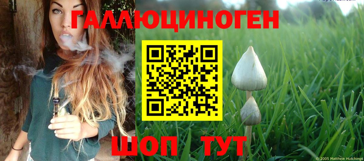 купить закладку  Вход с VPN  Альметьевск  Псилоцибиновые грибы Psilocybe 